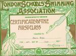 Swimming Certificate